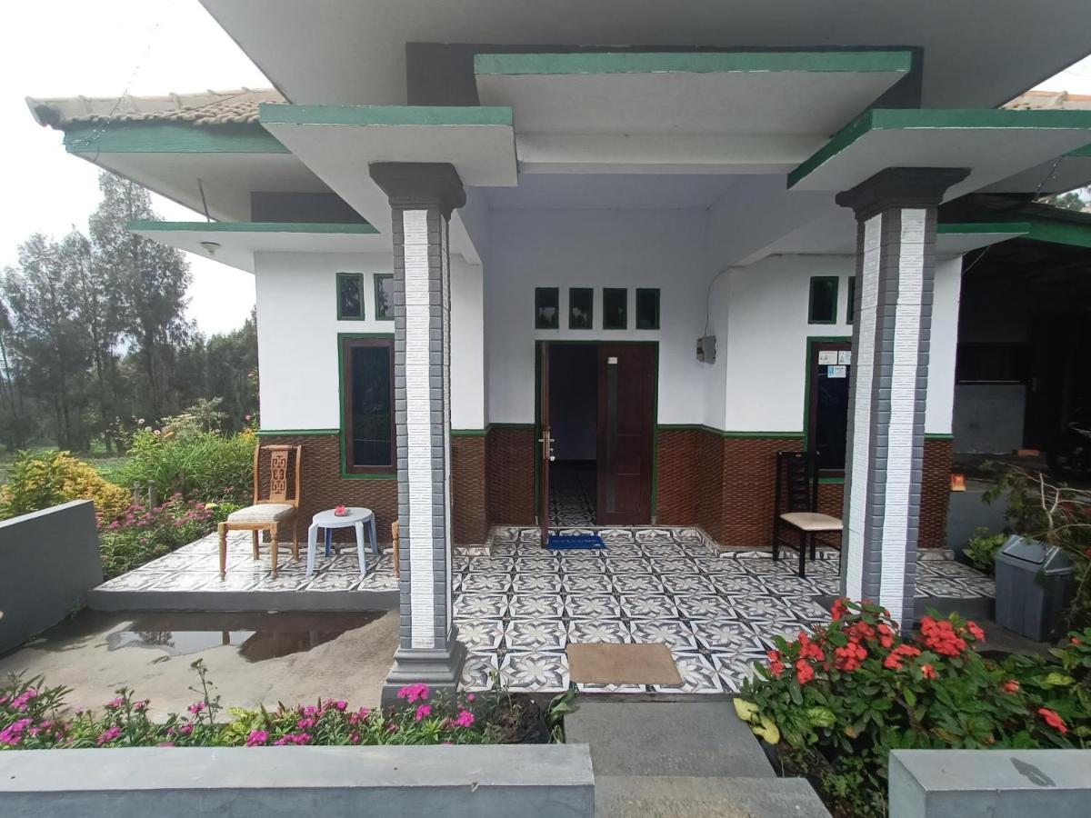 Elen Homestay By Abm Бромо Екстер'єр фото