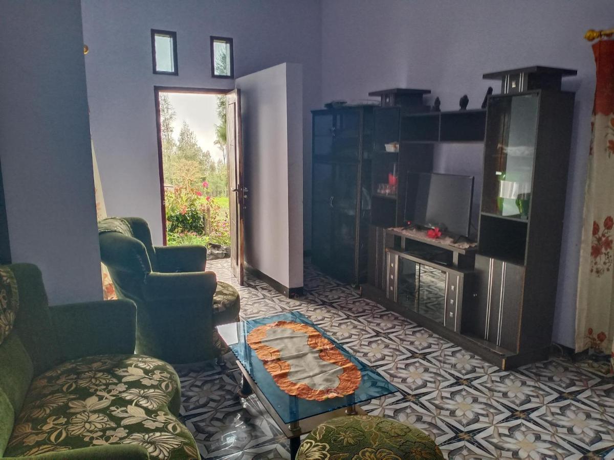 Elen Homestay By Abm Бромо Екстер'єр фото